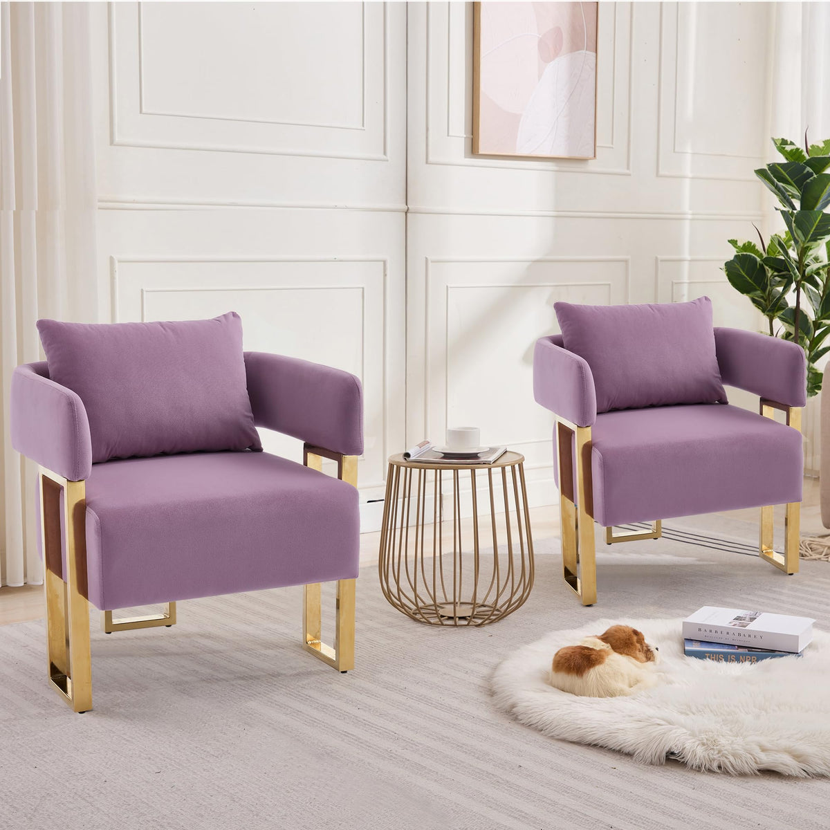 YISHENG Modern Barrel Accent Chairs Set of 2, Living Room Side Chairs with Golden Metal Legs Soft Upholstered Reading Armchairs no Wheels for Vanity/Reception Room//Bedroom/Lounge/Office,Black Teddy